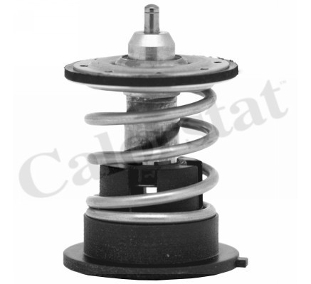 CALORSTAT by Vernet Thermostat für BMW 1 5 6 7 X3 3 X5 X1 4 X6 2 X4