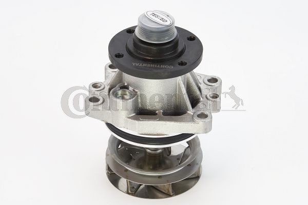 CONTINENTAL CTAM Wasserpumpe (WPS3000) für BMW Z3 5 3 X5 X3 7 Z4 | Wapu,