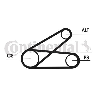 CONTINENTAL CTAM Keilrippenriemensatz (6PK873 ELAST T1) für Ford Tourneo Custom