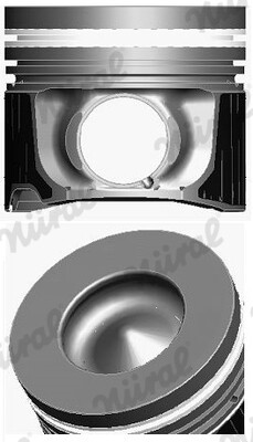 NÜRAL Kolben (87-434307-00) für AUDI Q7 A6 C6 VW Touareg A4 B7 A8 Allroad