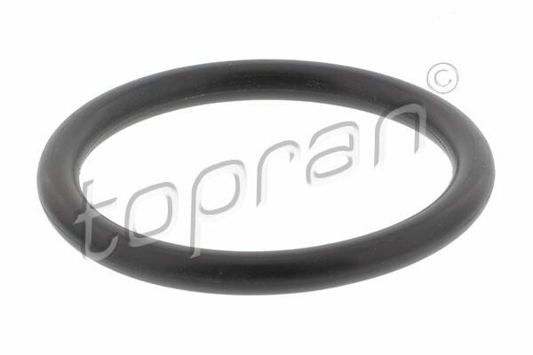 TOPRAN Dichtung, Thermostat (207 484) für RENAULT Laguna I Megane Espace III