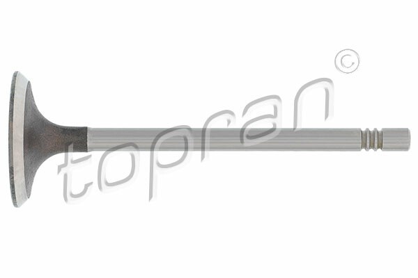 TOPRAN Einlassventil Einlassseite (110 195) für VW FOX Seat Ibiza III Cordoba
