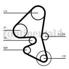 CONTINENTAL CTAM Wasserpumpe + Zahnriemensatz, Art.-Nr. CT1163WP1