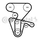 CONTINENTAL CTAM Wasserpumpe + Zahnriemensatz, Art.-Nr. CT877WP3PRO